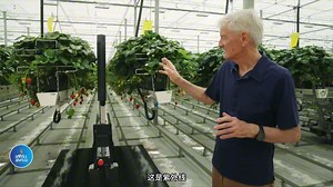 戴森爵士的农场 Dyson Farm