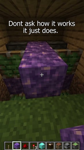 Don't ask 🙂 #minecraft #relatable #hack