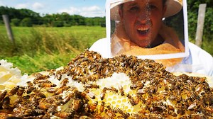 Common Beginner Beekeeping Mistakes to Avoid