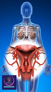 Reproduction 3d animation | Medical Animation Media