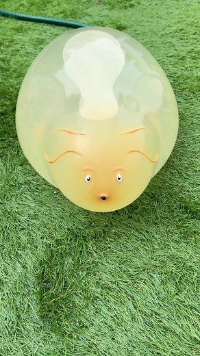 Doge! Vlog Cast Featuring Our Beloved Dog