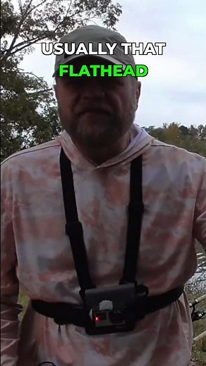 Buffalo vs. Carp: Understanding the Bite! 🤔