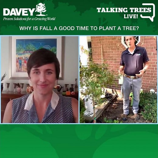 Best Time to Plant Trees: Spring or Fall