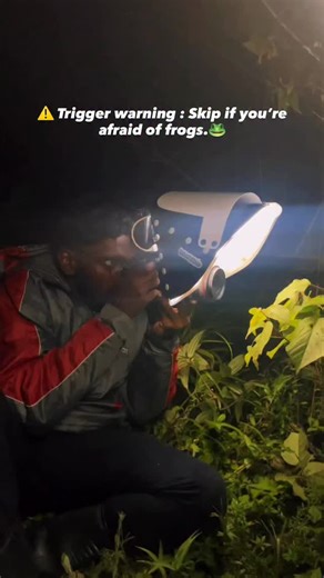 Jeffrey | Wildlife photographer on Instagram: "Send this to someone who’s afraid of frogs to change their mind!🐸 • • #macrophotography #frogs #wildlifephotography #fyp #explore"