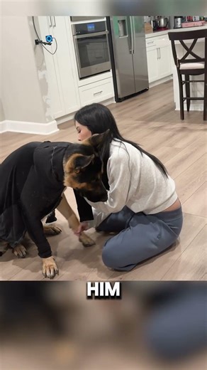 I created a Mocap Suit for my Dog!