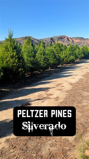 Gorgeous day at Peltzer Pines Christmas Tree Farm! Have you gotten your tree yet? Share photos in the comments! Crowds were light on a weekday. Expect more people and be careful as you drive in the area this weekend. #silveradocanyon #blackstarcanyon #peltzerpines #christmastreefarm #christmastime | Silverado Canyon News