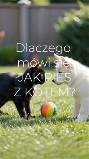 Dlaczego mówi się: „żyć jak pies z kotem"?