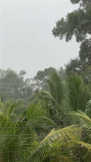 Heavy Rain|Relaxing Rain Sounds #nature #rain
