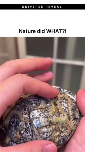 RevealFacts on Instagram: "This geode is a natural rock cavity formed over millions of years. It begins as an empty space inside volcanic or sedimentary rocks, often created by gas pockets or decayed organic material. Mineral-rich water slowly enters the cavity and leaves crystal deposits on the inner walls. Over long periods, these crystals grow toward the center and create the crystal interior. The colors and patterns depend on the minerals present, such as quartz, amethyst, or calcite. Geodes