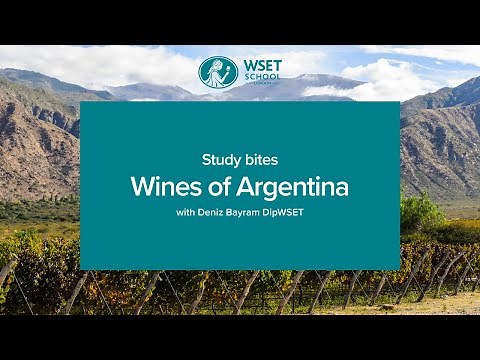 Study bites: wines of Argentina (WSET Level 3 wine)