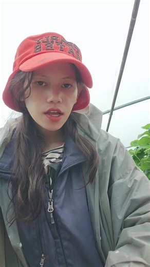 #agriculturelifeinsouthkoreakorea🇰🇷☘️🌿 #agriculture #strowberries #korea #friendshipgoals