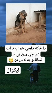 رزق. . #oupagereels #fypシ゚viralシ #videoreelsシ #oryoupagereels #videoviralシ #foryoupagereels #Viralシ #fypシ゚ #foryo #lifestyle . . 🫰🏻🥱❤️ #lifestyle #simplelifestyle #Afghanistan #BMW . . . . . . . . . #BMW 🙈 Ten Unknown Facts About #BMW 1. Founding and History: BMW, Bayerische Motoren Werke AG, was founded in 1916 in Munich, Germany, initially producing aircraft engines. The company transitioned to motorcycle production in the 1920s and eventually to automobiles in the 1930s. 2. Iconic Logo: T