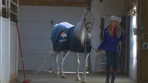 Meet Thunder: The Broncos’ most iconic athlete prepares for another playoff run