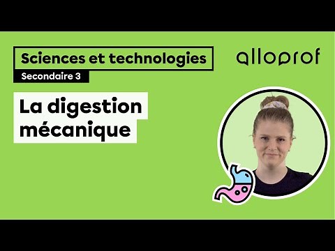 La digestion mécanique | Sciences et technologies | Alloprof