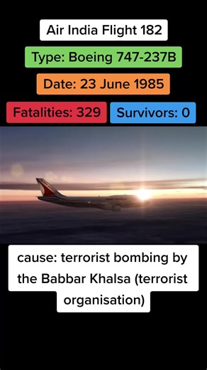 Aviation Disasters on TikTok