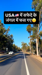 USA🇺🇸 में सफेदे के जंगल में फस गए🙁 #usa #america #jungle #road #forest #forest_captures #blog #vlog | Raja Traveller