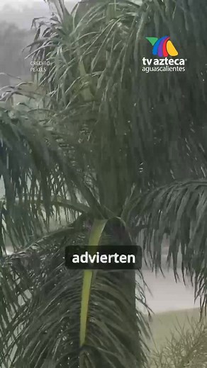 Fenómeno de “La Niña” traerá cambios en el clima de Aguascalientes 🌧️ Meteorólogos anticipan lluvias intensas y bajas temperaturas por la llegada del fenómeno “La Niña”, que afectará a todo México durante los próximos meses. ❄️☔️ #Aguascalientes #Clima #LaNiña #Meteorología #México | TV Azteca Aguascalientes