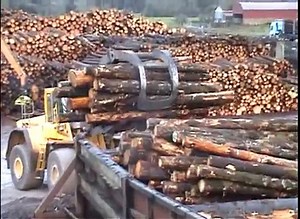 Conversion of Timber