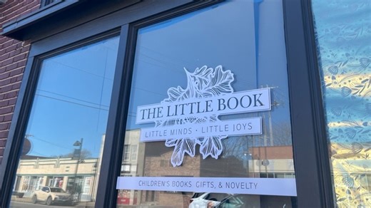 The Little Book aims for kids to 'see themselves' on bookstore shelves