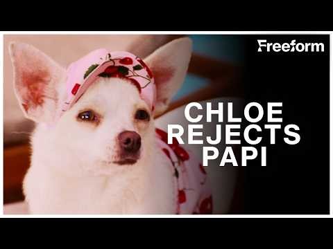 Chloe Rejects Papi the Chihuaha | Beverly Hills Chihuahua | Freeform