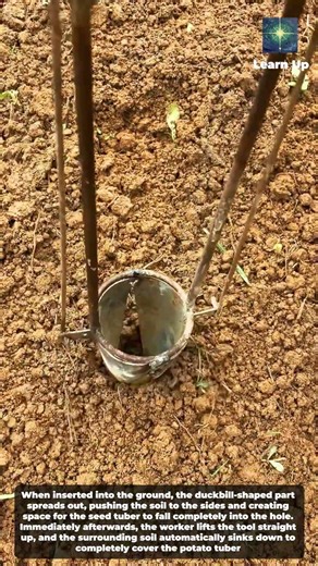 Agricultural Invention: Handheld Planting Tool