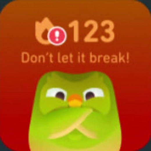 Duolingo Widgets in a Nutshell