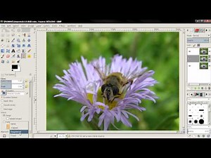Sharpen Image - GIMP 2.8 tutorial Video Lecture | A GIMP 2.8 Tutorial for Beginners - Design Softwares