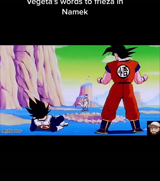 Vegeta's Epic Words to Frieza on Namek