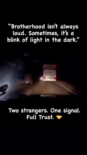 #every #driver #knows #saftybelt #roadtrip #light #signal #caution #life