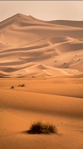 99K views · 4.8K reactions | Maher Zain song "La Tahzan" has a profound meaning. The lyrics, "Shiddiq," teach us to be honest and never lie. Furthermore, the song conveys the message of not being sad, for Allah is always with us ❤️ Maher Zain - La Tahzan #MaherZain #LaTahzan #Single #Album | Maher Zain Official Fans Club - MZOFC | Facebook