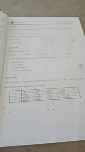 QUESTION 17Nitrogen gas reacts with hydrogen gas to form ammon... | Filo