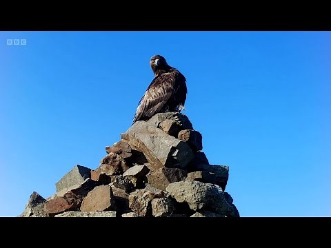SpringWatch 2022 Episode 1 - BBC Nature