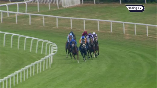 ❤️ Roaring Lion ❤️ Gone but never forgotten. He edged out Saxon Warrior in a thrilling Coral-Eclipse in 2018. What a horse. | Racing TV