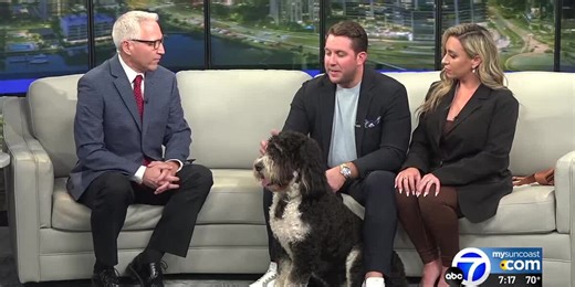 Local dog survives Pythiosis