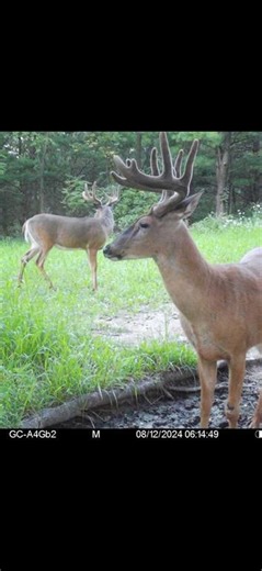 890 S Independence Rd, Independence, WI 54747 - MLS 1598918 - Coldwell Banker