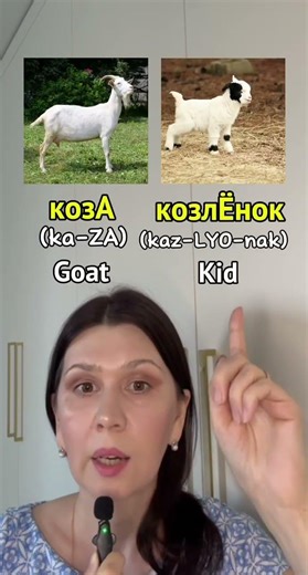 Animals in Russian