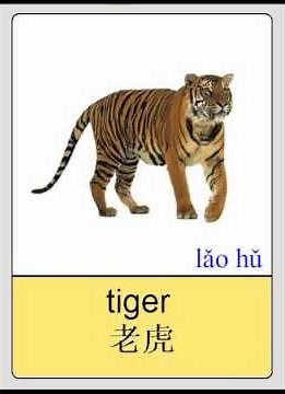 Mandarin Chinese Flashcards - Animals - Mammals I 普通话闪卡- 哺乳动物 I