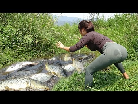 Amazing Fishing : The Girl Into the Woods Fishing, Harvesting Many Big Fish | Nana Fishing