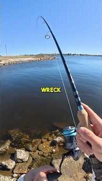 Catch Clean Cook! #fishingvideo