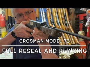 Crosman model 73 co2 lever action pellet/BB gun full rebuild and plinking