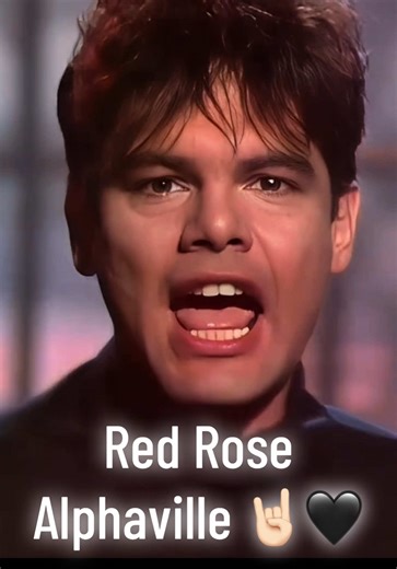 Red Rose - @Alphaville (Live in Mainz, Germany 🇩🇪 1987) 🤘🏻🖤 #alphaville #newwave #synthpop #80s #80smusic