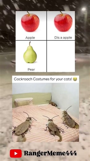Meme 😂Cockroach costume