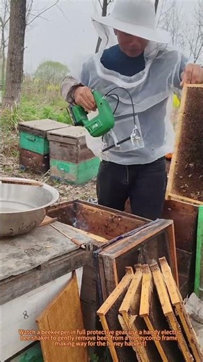 Beekeeper Uses Electric Shaker to Remove Bees for Honey Harvest 🐝