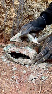 Treasure found [GOLD] Using Metal Detector ❌ #treasurehunt #metaldetecting #treasurehunting #treasure #gold #metaldetector #treasurehunter #discover | X Hunter