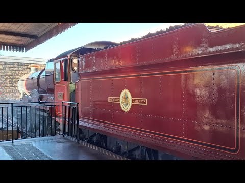 A Hogwarts Express Adventure, From Hogsmeade to King's Cross & The Knight Bus talking Shrunken head