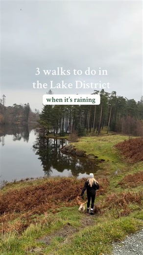 Amy Gibson | The Lake District on Instagram: "3 walks to do in the Lake District when it’s raining according to a local that lives here 🌧️ 🥾Tarn Hows 🥾Ambleside to Rydal 🥾Brant Fell Your sign to put on your waterproofs and head out in the rain because if we let the weather put us off we would never leave the house ☔️ Hi I’m Amy (@roamingthelakes) - follow me for more Lake District recommendations & advice from a local who was born here 👋🏻 - #lakedistrict #lakedistrictwalks #thingstodolaked