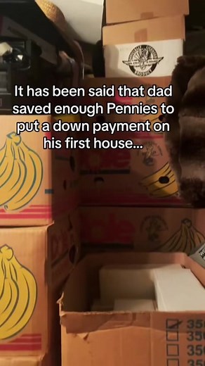 His father saved ALL his pennies! #penny #coin #valuablecoins #money #thecoinchannel #foryou beginning clip by @Dads sports cards and more