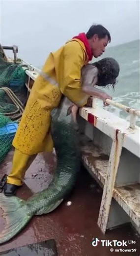 The Oceans Meaning🥲, astonishing.