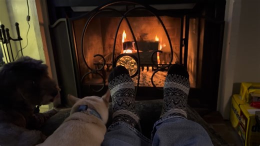 Pups, check. Fire, check. Cozy, check. | Ray Hamilton