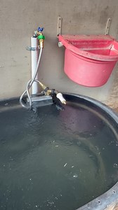 It’s 26° here in Granbury, Texas and I’m showing you how our freeze miser works. We use over 30 of these on the farm where the rescue is. We no longer have to haul water. Just bust a little ice, maybe. I know up north they are LOVING these!! ￼ | Second Chance Farm Granbury